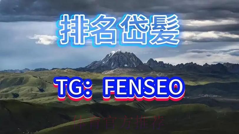 全面解析世界杯买球平台优势与特点比较